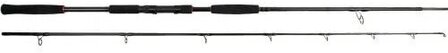 Ron Thompson Tyran Catfish Fishing Rod. 3.2m. 2delig -300gr                                 