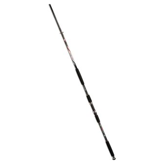 Lineaeffe Carbon Catfish 300cm, 2delig (transp. 158cm) casting weight up to 200 gr