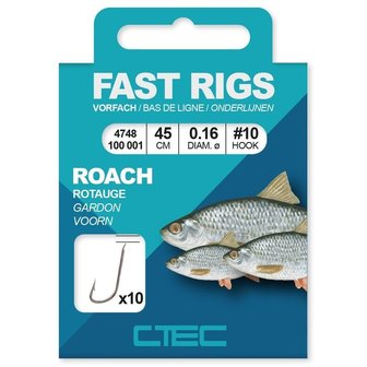Ctec 10 onderlijnen haak 10 of 12 , 45 cm