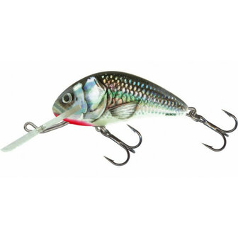 Salmo Floating Hornet 5 cm, 7 gr. 2.0-6.5m.   holographic grey shiner