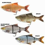 Savage Gear 4D LT Roach 25 cm Sinking   216 gr, clear rudd
