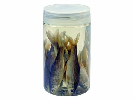 Albatros aasvisjes roach 8/10 cm