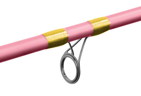 Delphin Queen Feeder + 3 tips, 3.9m 100 g, 3delig   met roze Queen 5T molen en nylon                aanbieding  op=op