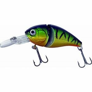 Albatros Catch 21 Headshaker, 8.5cm/ 14.5gr./floating - 2.5m. coler C2