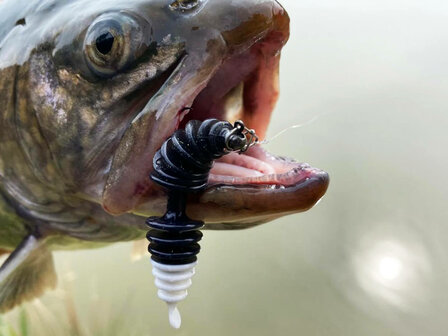 Nieuw    Trout Master softbait Wacka 52.   orange/white, 6 st in potje