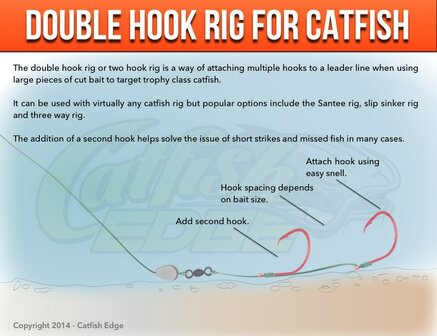 Catfish rigs, 2 st,trekkracht:100 kg en hooksize 8/0
