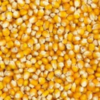Droge Carp Particles:  Mais  5 kg;  