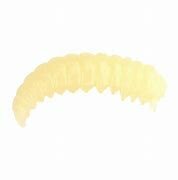 Spro imitatie wasmotten, trout master Garlic bait,  lime glitter, 15 st