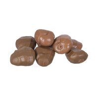 Anaconda Fake Sinking Tigernuts, 1e choice, mix 12 st