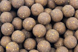 Cuyten 15 mm INSECTIONS boilies, 1 kilo,